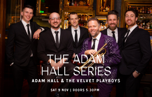 The Adam Hall Series at Tiny’s Image