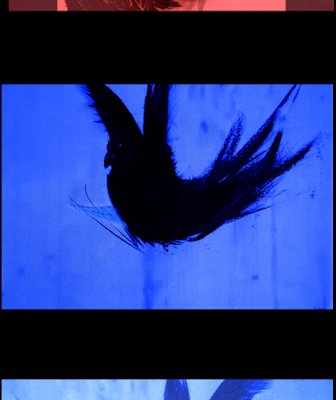 Audrey and Arif Image