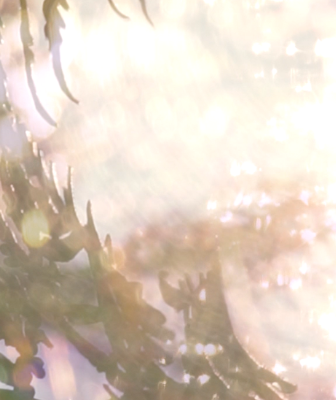 A painting by Amy Priemus and Alexander Haygarth featuring leaves in a lot of light